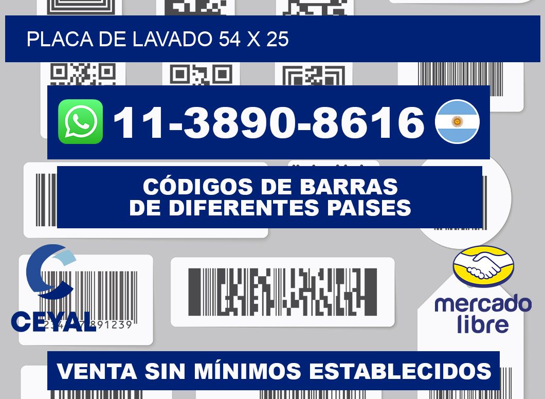Placa de lavado 54 x 25