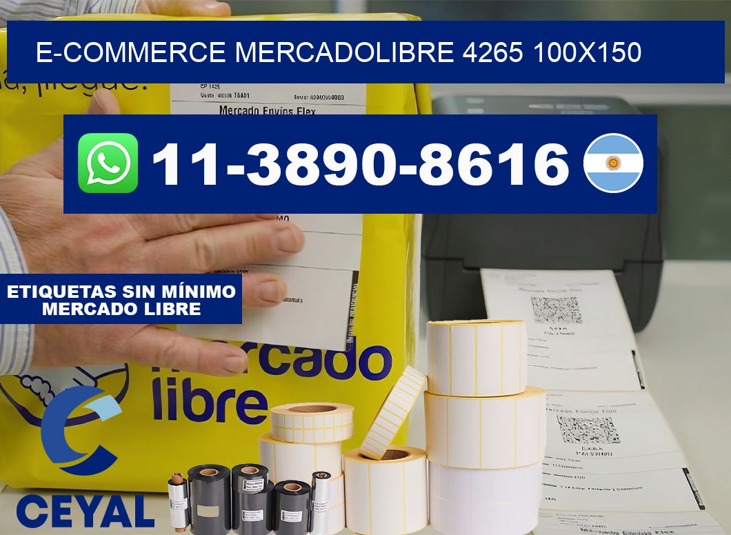 E-commerce mercadolibre 4265 100×150