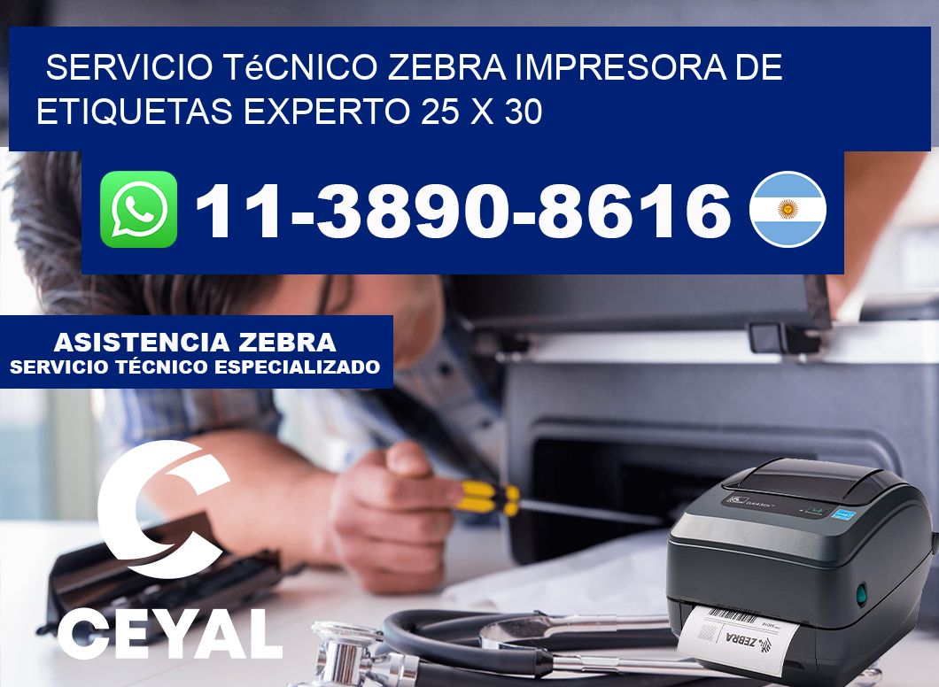 Servicio Técnico Zebra Impresora de Etiquetas Experto 25 x 30