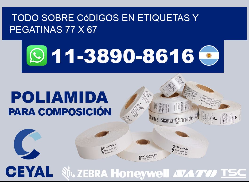 Todo sobre códigos en etiquetas y pegatinas 77 x 67