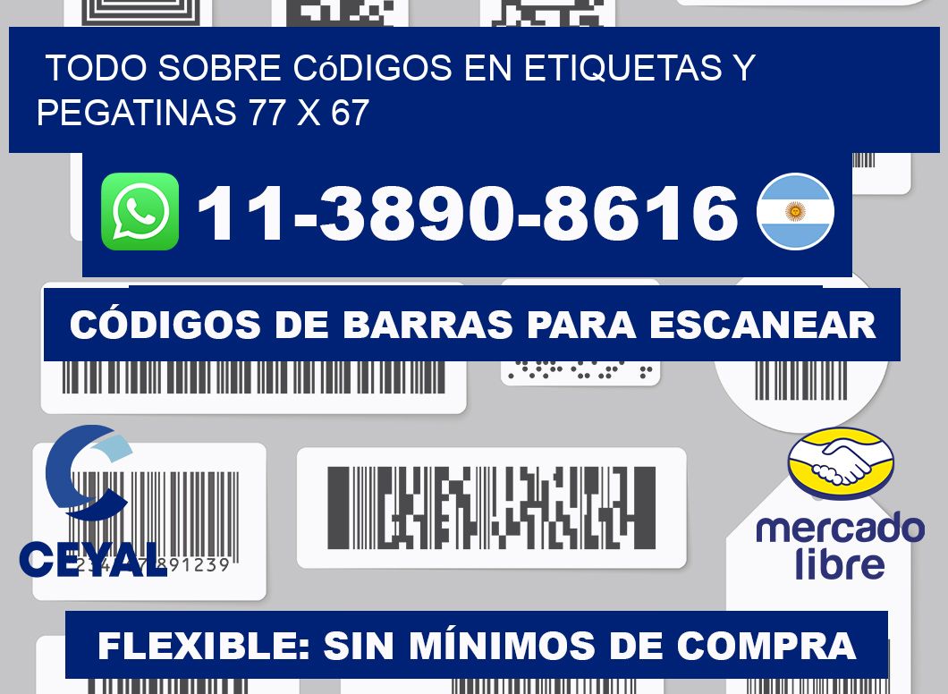 Todo sobre códigos en etiquetas y pegatinas 77 x 67