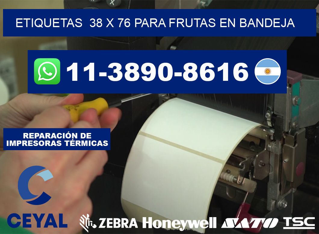 etiquetas  38 x 76 para Frutas en bandeja