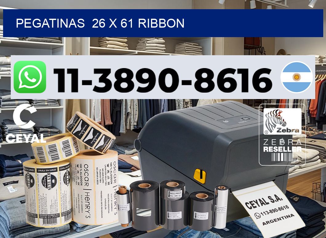 pegatinas  26 x 61 ribbon
