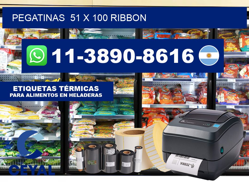 pegatinas  51 x 100 ribbon