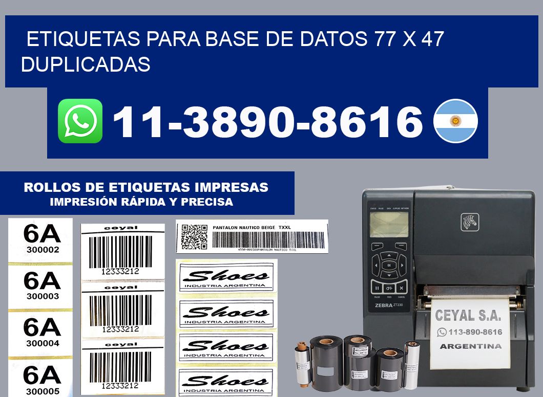 etiquetas para base de datos 77 x 47 duplicadas