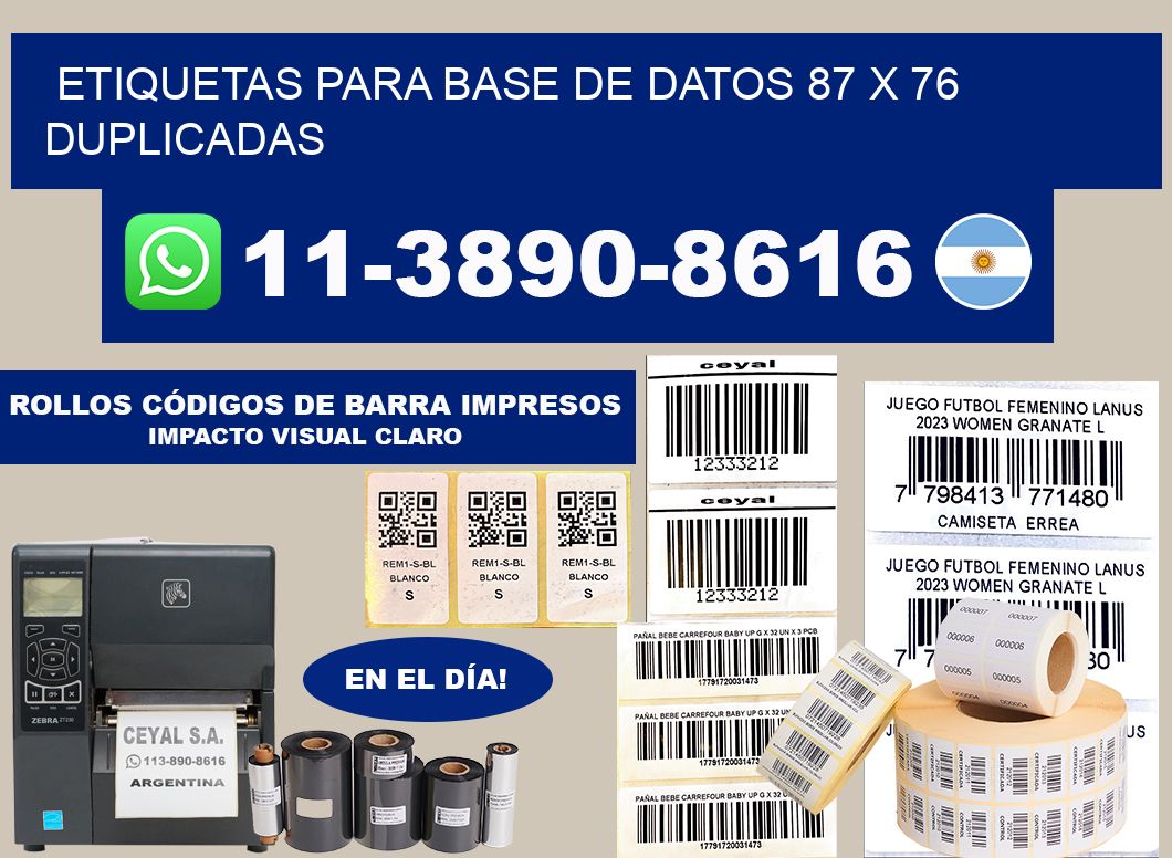 etiquetas para base de datos 87 x 76 duplicadas