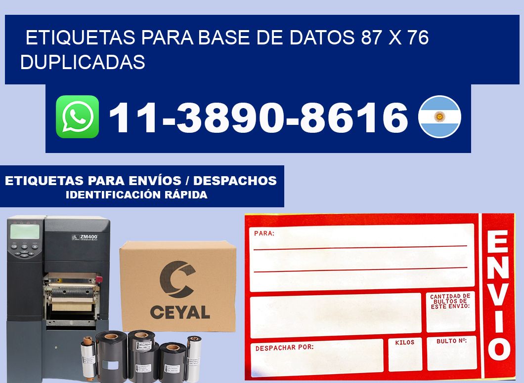 etiquetas para base de datos 87 x 76 duplicadas