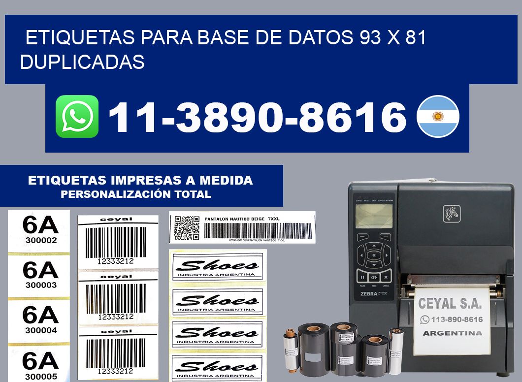 etiquetas para base de datos 93 x 81 duplicadas
