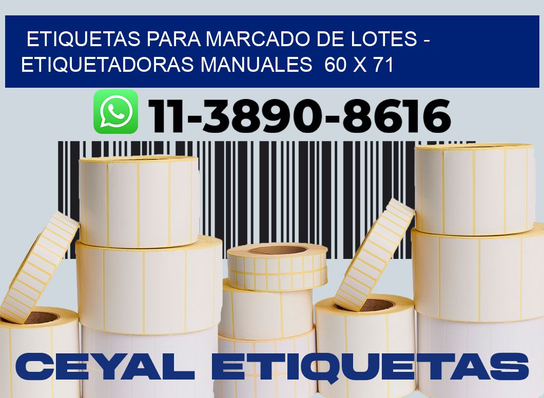 etiquetas para marcado de lotes - Etiquetadoras Manuales  60 x 71
