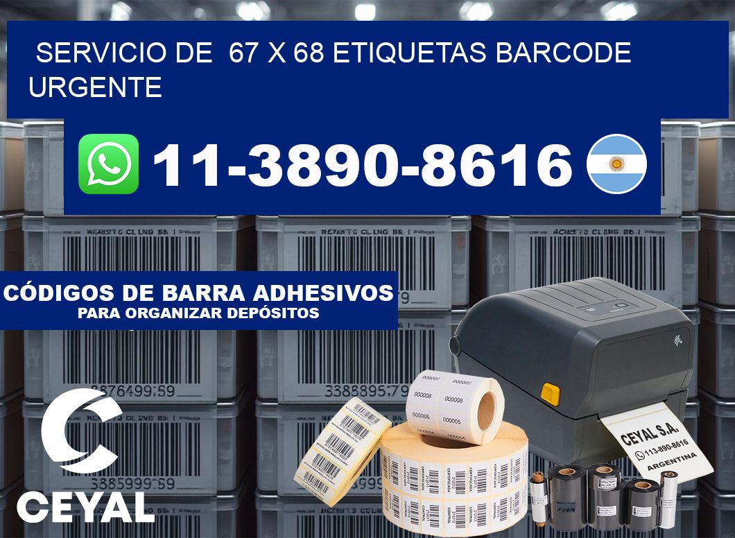 SERVICIO DE  67 x 68 ETIQUETAS BARCODE URGENTE