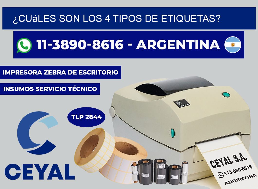 ¿Cuáles son los 4 tipos de etiquetas?