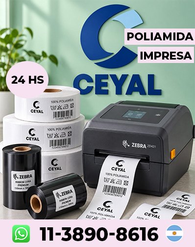 Impresora Zebra ZD220 + Rollos De Etiquetas Y Ribbon – San Nicolás Arg